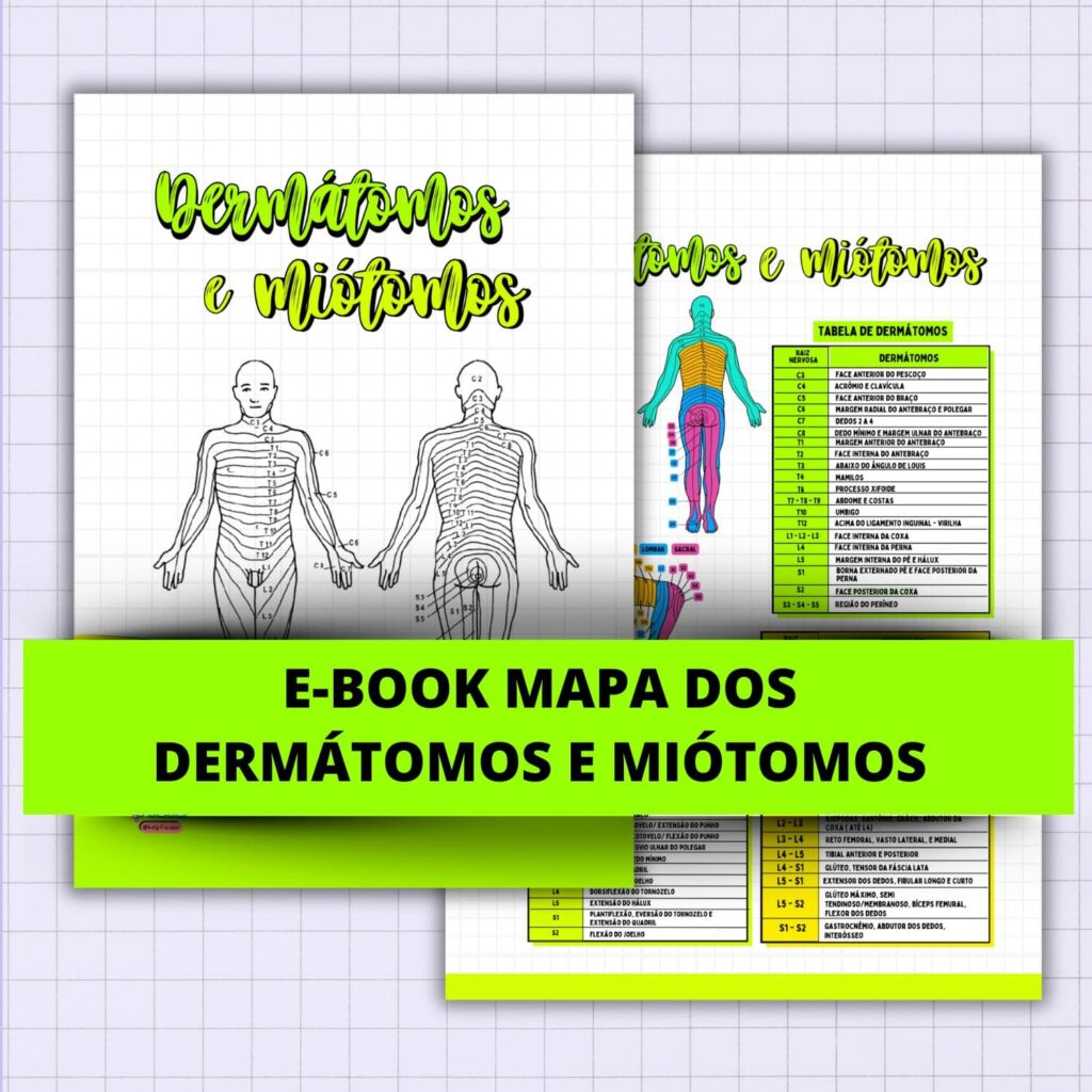 Dermatomos e Miotomos
