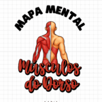 Mapa mental Músculos do dorso