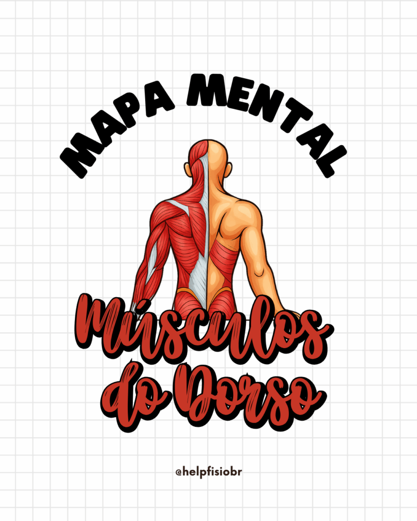 Mapa mental Músculos do dorso